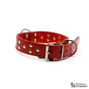 Collar STELLA - 3x55 cm - Red