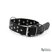 Collar STELLA - 3x55 cm - Black