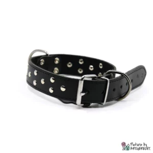 Collar STELLA - 3x55 cm - Black