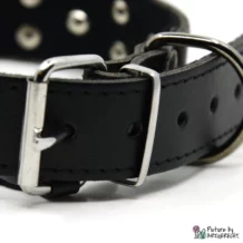 Collar STELLA - 3x55 cm - Black