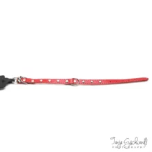 Halsband - STELLA - 1.6x40 cm - Rot