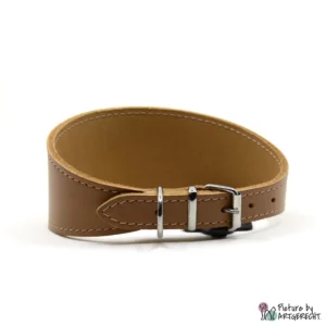 B&F Greyhound collar - 47 cm - Brown