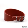 Collare B&F Sighthound - 42 cm - Rosso