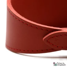 B&F Sighthound collar - 42 cm - Red