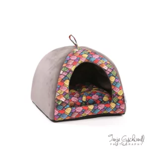 CAMON Igloo coloré
