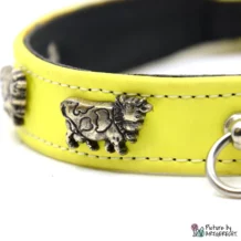 Dog collar with cows - 1.8 x 30 cm