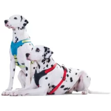 HUNTER Hundegeschirr - Neopren - XL - Rot/Schwarz