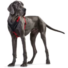 HUNTER Hundegeschirr - Neopren - XL - Rot/Schwarz