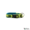 HUNTER Collier Néoprène Vario Plus - Vert clair/Pétrole - 1.5 x 35 cm