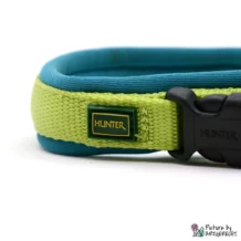 HUNTER Neoprene collar Vario Plus - Light green/petrol - 1.5 x 35 cm