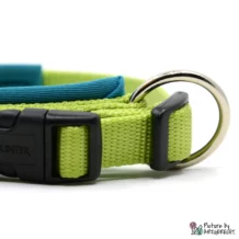 HUNTER Neoprene collar Vario Plus - Light green/petrol - 1.5 x 35 cm
