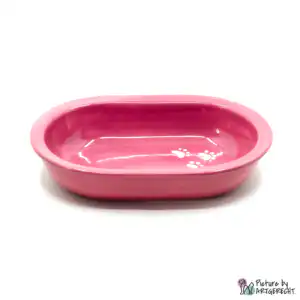 Ciotola in ceramica Svizzera Ciotola in ceramica per alimentatore automatico Surefeed - Rosa antico - ALT
