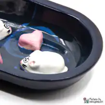 Ecuelle en céramique Suisse Ecuelle en céramique pour distributeur automatique de nourriture Surefeed - Ecuelle anti-glissement - Noir/Bleu avec souris et cœurs