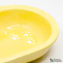Ciotola in ceramica Svizzera Ciotola in ceramica per alimentatore automatico Surefeed - Giallo
