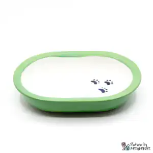 Ecuelle en céramique Suisse Ecuelle en céramique pour distributeur automatique de nourriture Surefeed avec pattes noires - Vert