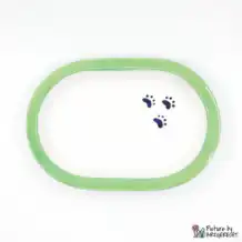 Ecuelle en céramique Suisse Ecuelle en céramique pour distributeur automatique de nourriture Surefeed avec pattes noires - Vert