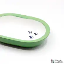 Ecuelle en céramique Suisse Ecuelle en céramique pour distributeur automatique de nourriture Surefeed avec pattes noires - Vert