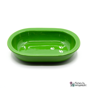 Ciotola in ceramica Svizzera Ciotola in ceramica per alimentatore automatico Surefeed - Verde