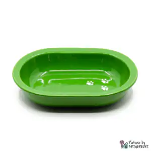Ecuelle en céramique Suisse Ecuelle en céramique pour distributeur automatique de nourriture Surefeed - Vert