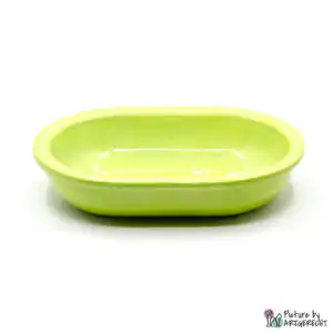 Ciotola in ceramica Svizzera Ciotola in ceramica per alimentatore automatico Surefeed - Verde chiaro