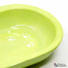 Ciotola in ceramica Svizzera Ciotola in ceramica per alimentatore automatico Surefeed - Verde chiaro