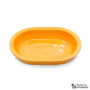 Ciotola in ceramica Svizzera Ciotola in ceramica per alimentatore automatico Surefeed - arancione neon
