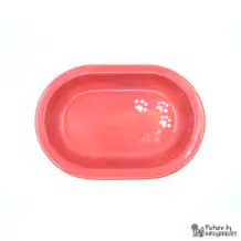 Ciotola in ceramica Svizzera Ciotola in ceramica per alimentatore automatico Surefeed - Rosso