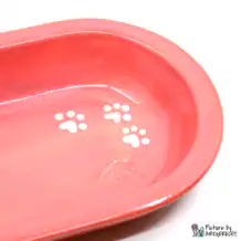 Ciotola in ceramica Svizzera Ciotola in ceramica per alimentatore automatico Surefeed - Rosso