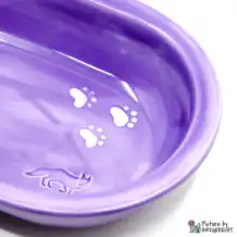 Ecuelle en céramique Suisse Ecuelle en céramique pour mangeoire automatique Surefeed - Violet