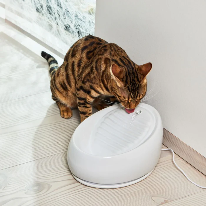 Lucky-Kitty Trinkbrunnen aus Keramik - Grau - Image 4