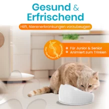 Lucky-Kitty ceramic drinking fountain - gray