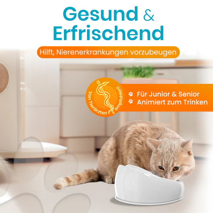 Lucky-Kitty Trinkbrunnen aus Keramik - Grau - Image 7