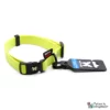 Collare Martin Sellier - lunghezza 35-50 cm - larghezza 2 cm - giallo fluorescente