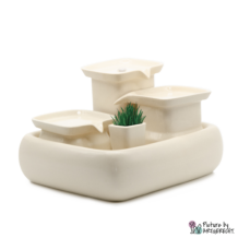 Miaustore Vase d'herbe à chat avec terreau et graines pour fontaine STANDARD - Lait
