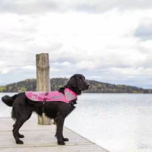 rukka Flap Safety Vest - Safety vest - S - Neon pink
