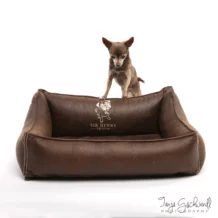 WOLTERS SIR HENRY Edition - Lit pour chien