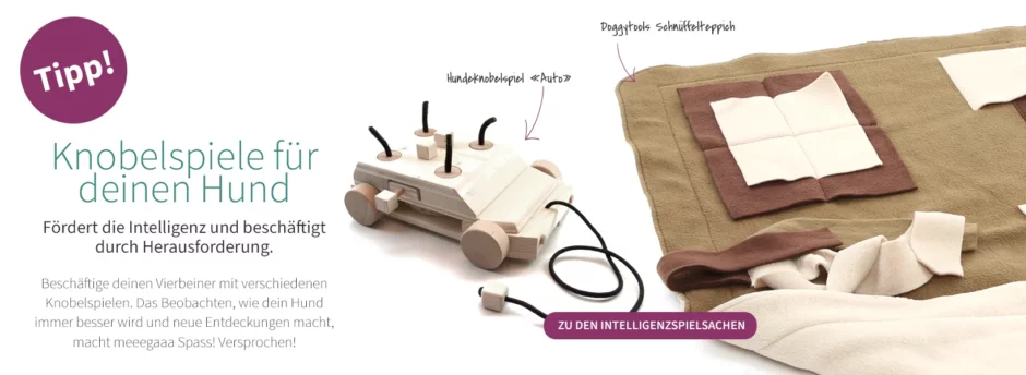 Knobelspiele für Hunde aus Holz zur Beschäftigung und Förderung der Intelligenz