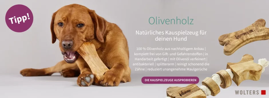 WOLTERS Olivenholz Kauspielzeug für Hunde als natürliche Beschäftigung und Zahnpflege