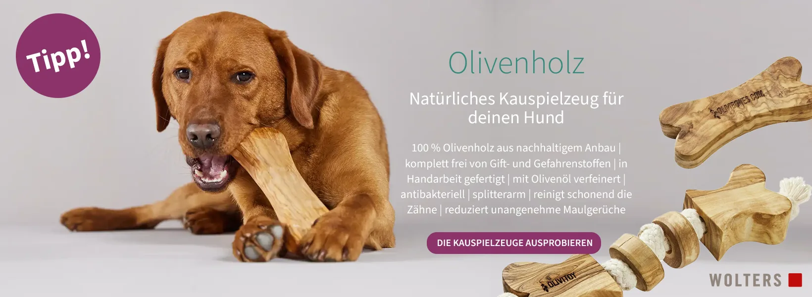 WOLTERS Jouets à mâcher en bois d'olivier pour chiens comme occupation naturelle et soins dentaires