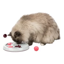 TRiXiE CAT Activity Strategy Game "Flip Board"