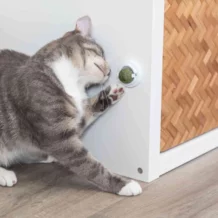 TRiXiE catnip ball with holder for lickers