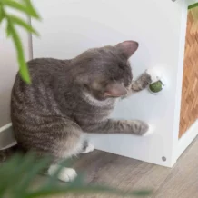TRiXiE catnip ball with holder for lickers