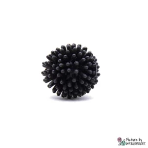 TRiXiE Spielball - Schwarz