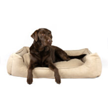 Lettino per cani Bjørnfjell Senja - L - Beige