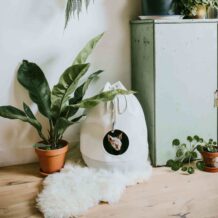 DISTRICT 70 CASA - Stylish cat house - Merengue