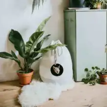DISTRICT 70 CASA - Maison de style pour chats - Merengue