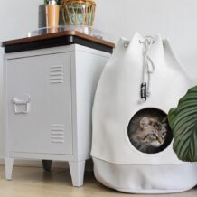 DISTRICT 70 CASA - Stylish cat house - Merengue