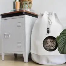 DISTRICT 70 CASA - Maison de style pour chats - Merengue