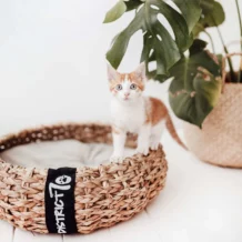 DISTRICT 70 COCOON - Stylish cat bed made of natural wickerwork