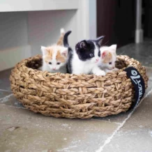 DISTRICT 70 COCOON - Stylish cat bed made of natural wickerwork